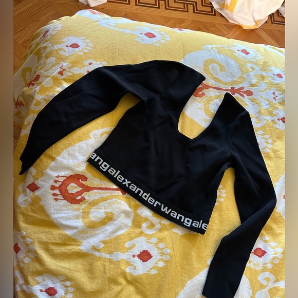 Cropped Alexander Wang Logo Long Sleeve Top - Picture 1 of 2